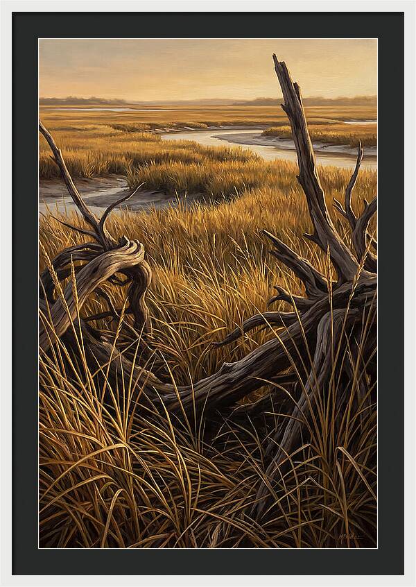 Coastal Marsh Serenity