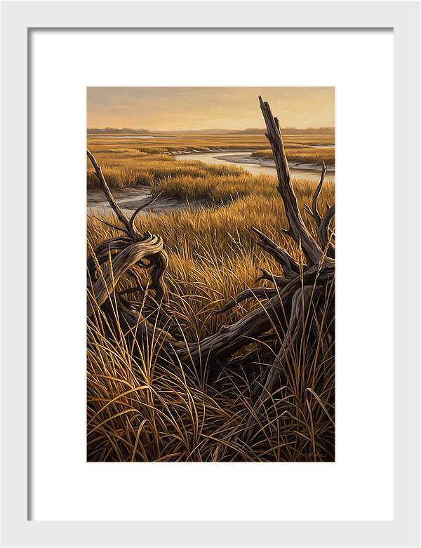 Coastal Marsh Serenity