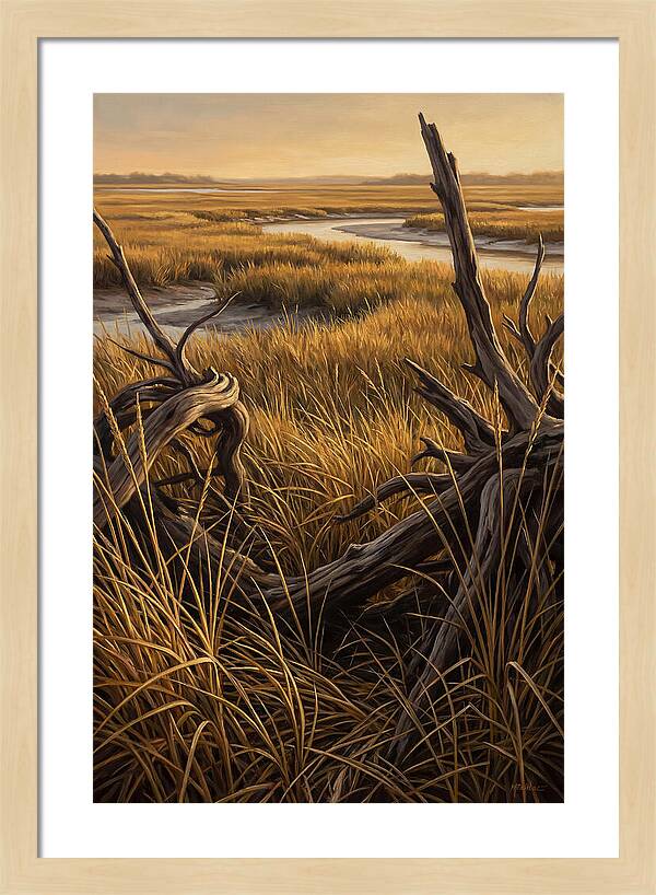 Coastal Marsh Serenity
