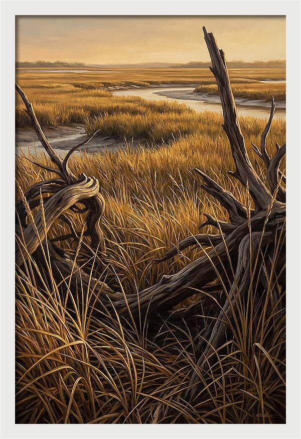 Coastal Marsh Serenity