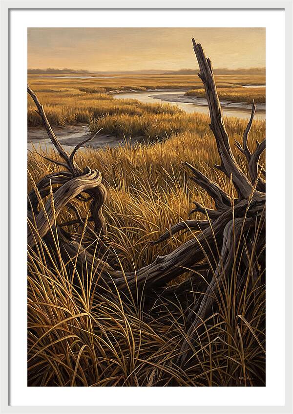 Coastal Marsh Serenity