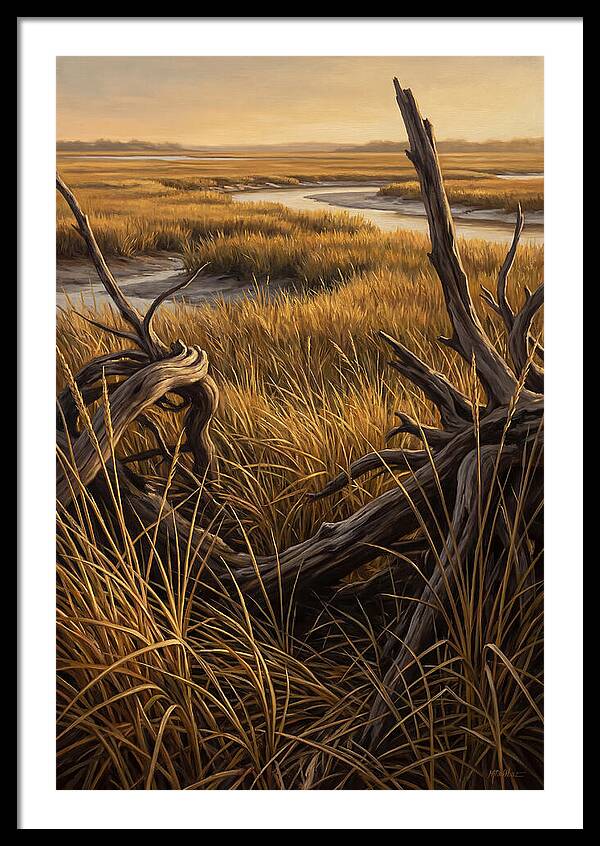 Coastal Marsh Serenity