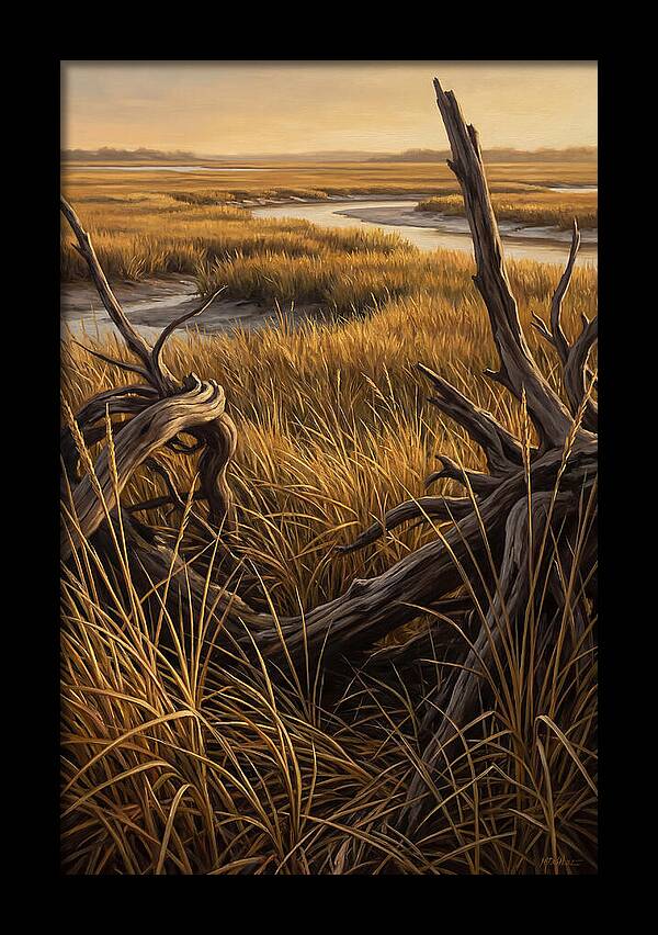 Coastal Marsh Serenity