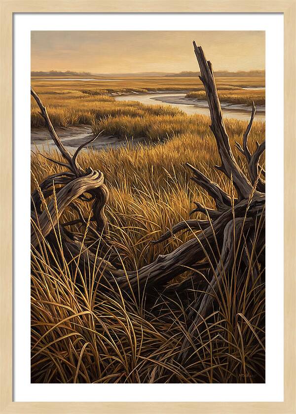 Coastal Marsh Serenity