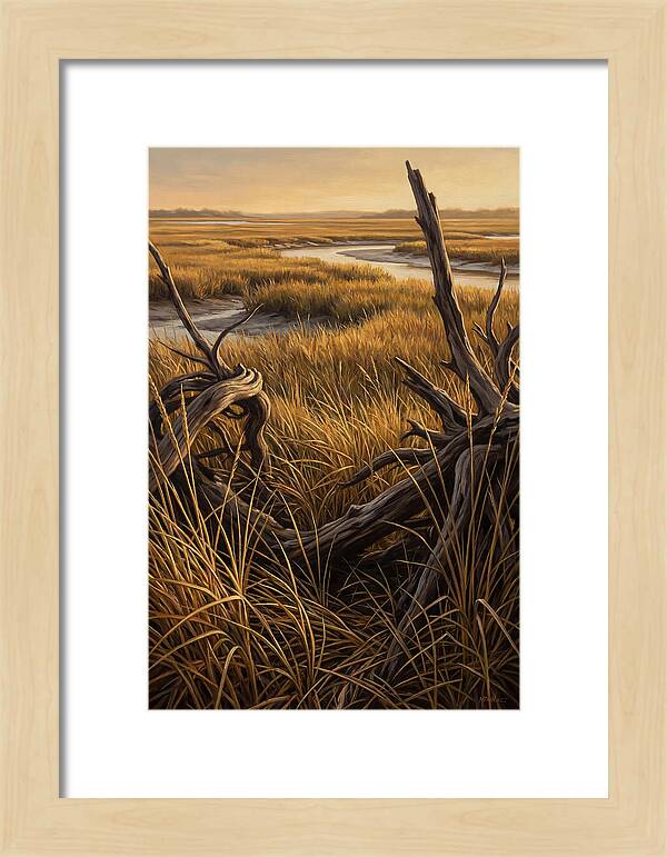 Coastal Marsh Serenity