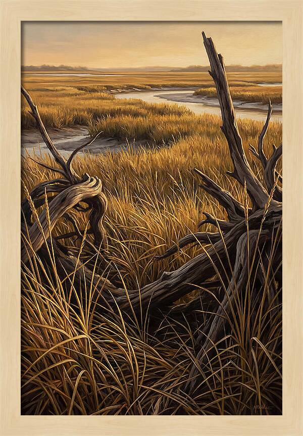 Coastal Marsh Serenity