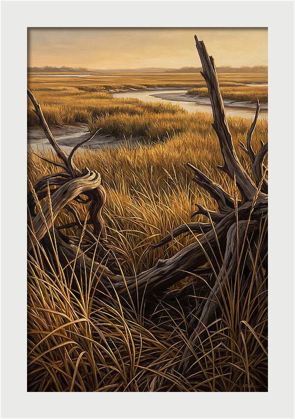 Coastal Marsh Serenity