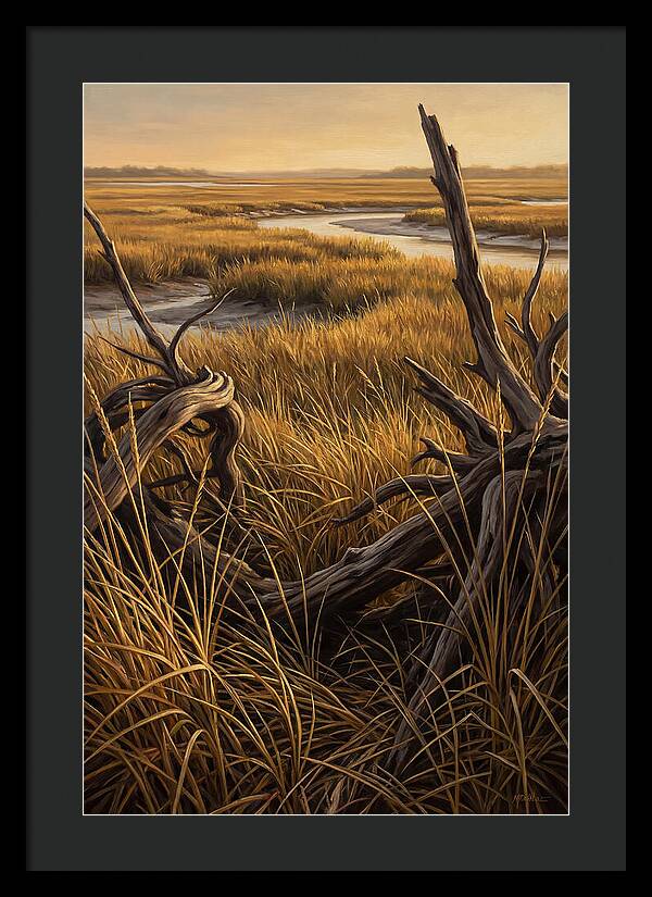 Coastal Marsh Serenity