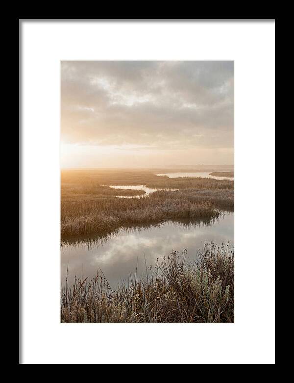 Coastal Marshland Serenity