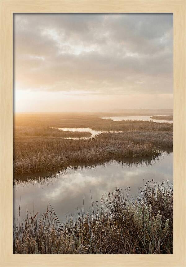 Coastal Marshland Serenity