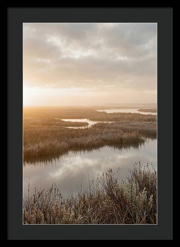 Coastal Marshland Serenity