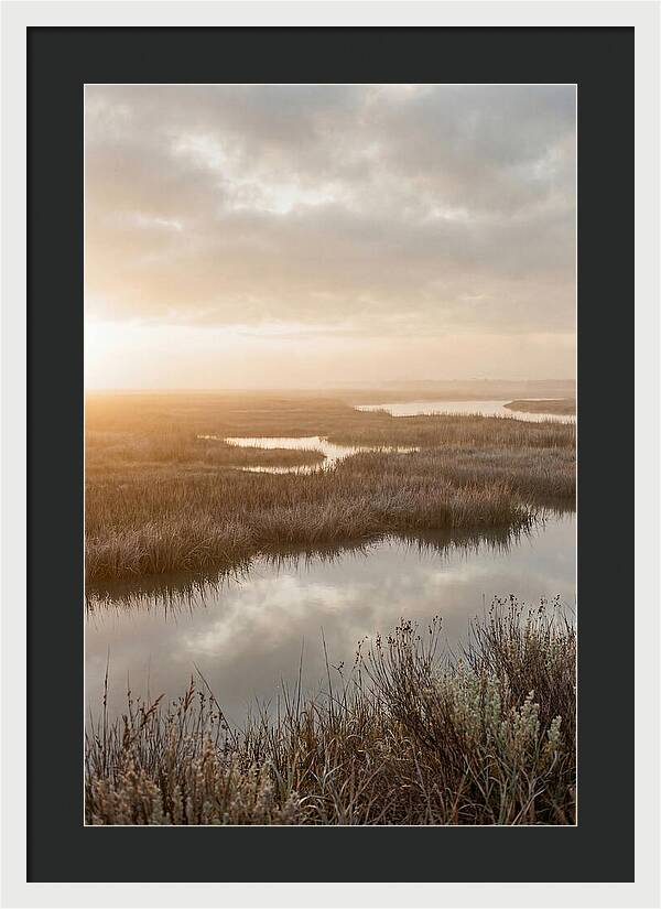Coastal Marshland Serenity