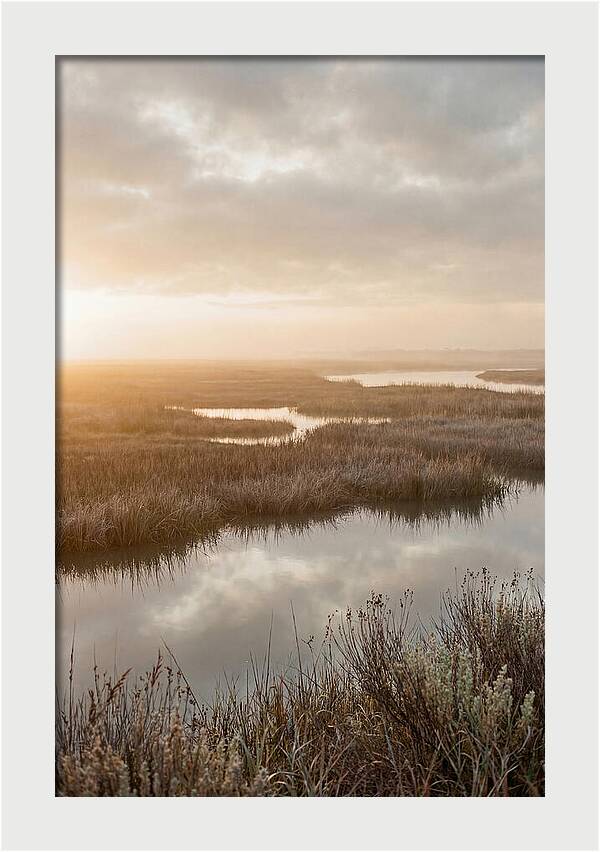 Coastal Marshland Serenity