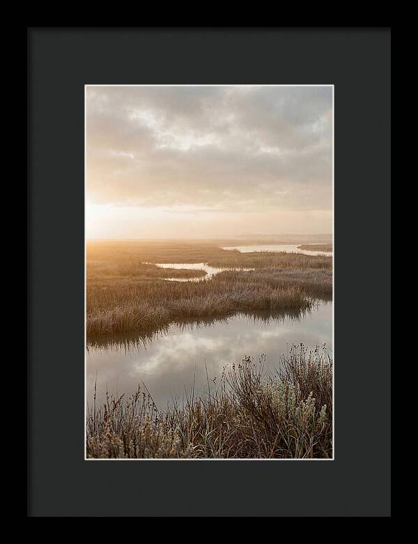 Coastal Marshland Serenity