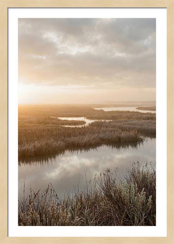 Coastal Marshland Serenity