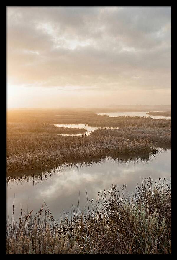 Coastal Marshland Serenity