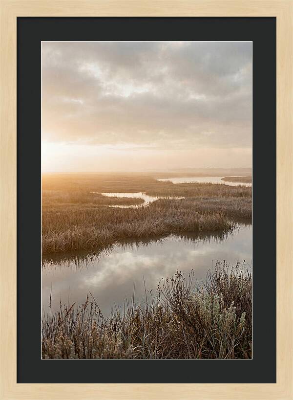 Coastal Marshland Serenity