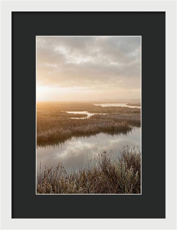 Coastal Marshland Serenity