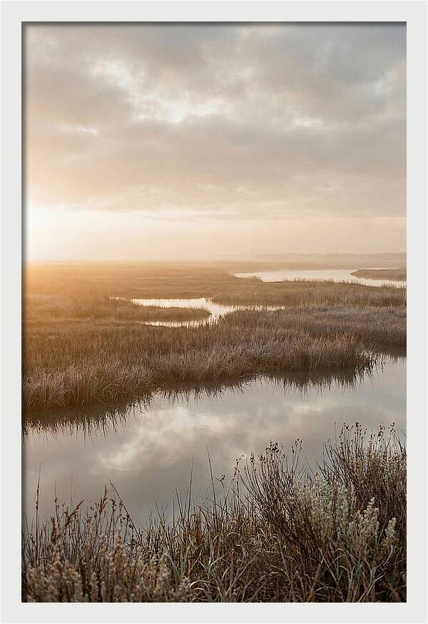 Coastal Marshland Serenity