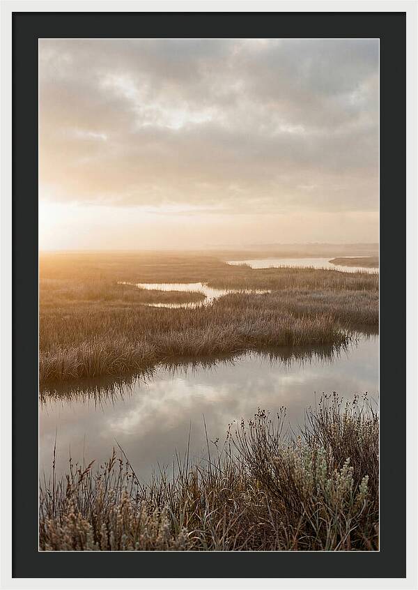 Coastal Marshland Serenity