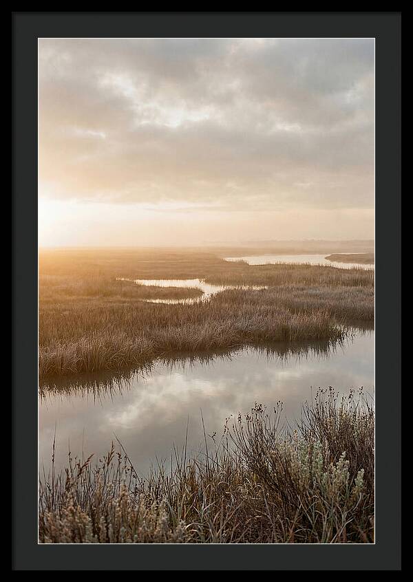 Coastal Marshland Serenity