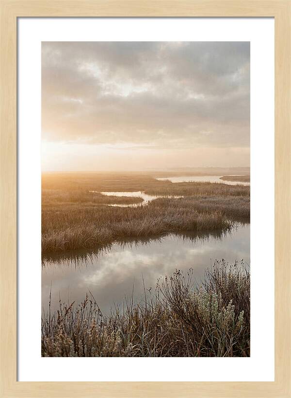 Coastal Marshland Serenity