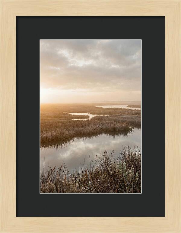 Coastal Marshland Serenity