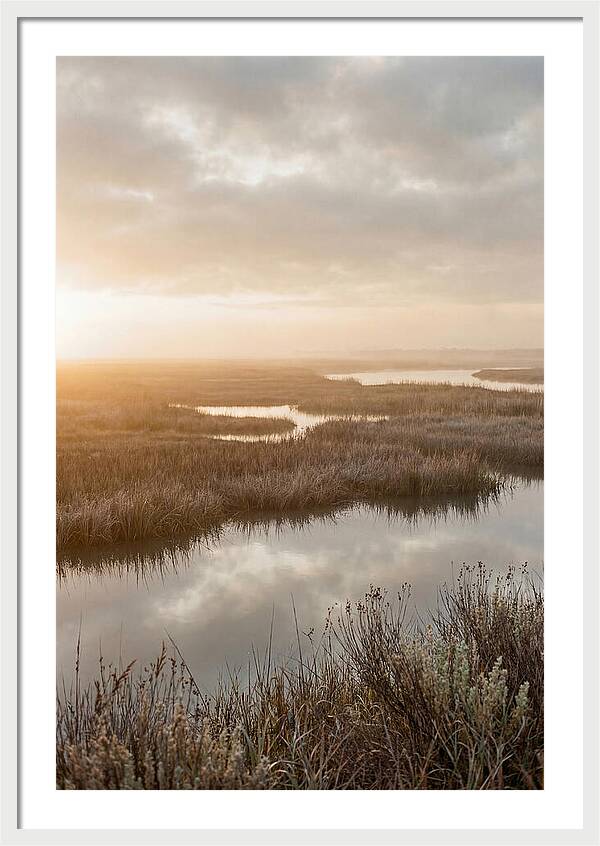 Coastal Marshland Serenity