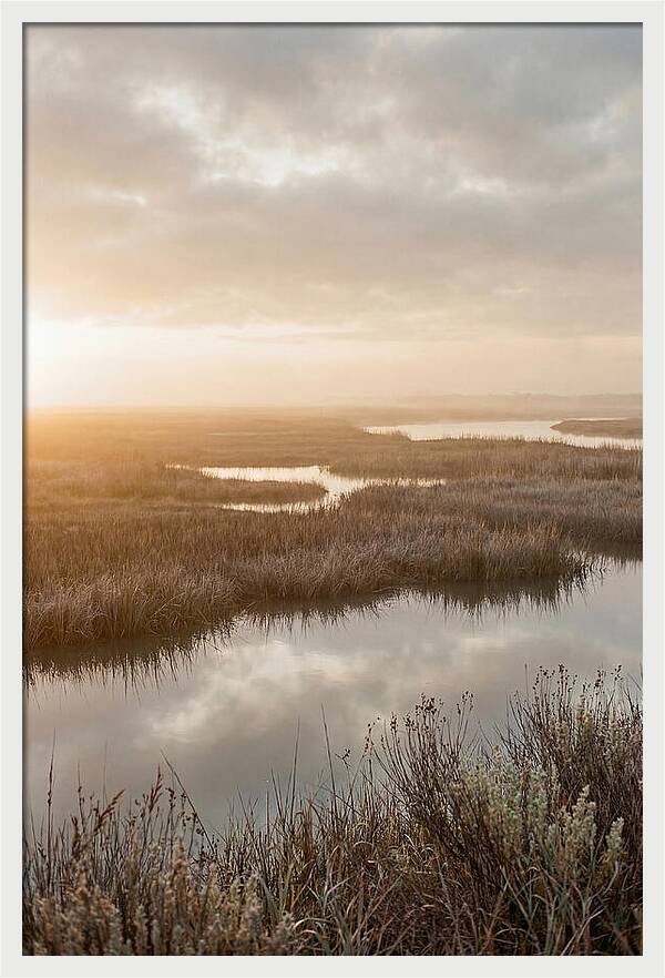 Coastal Marshland Serenity