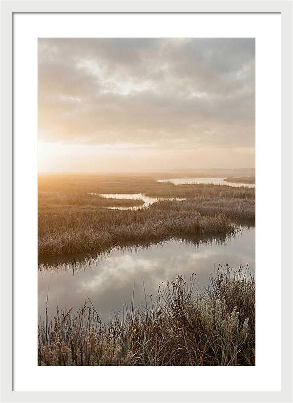 Coastal Marshland Serenity
