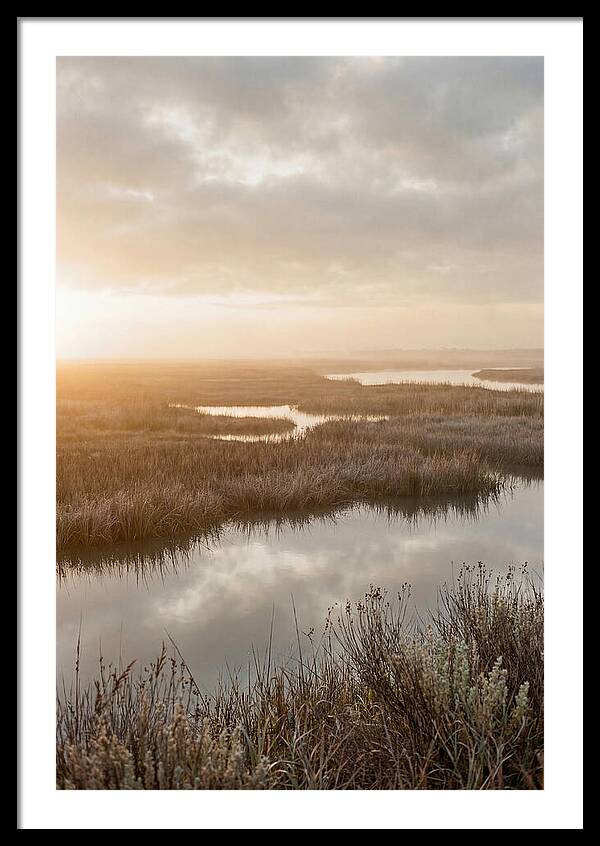 Coastal Marshland Serenity