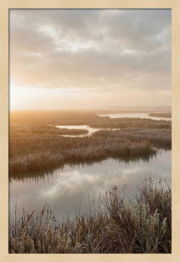 Coastal Marshland Serenity