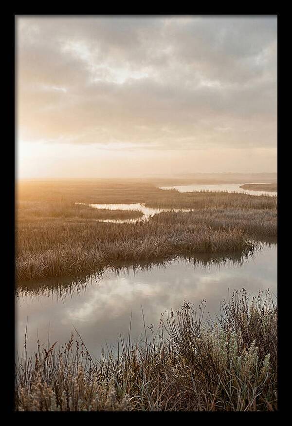 Coastal Marshland Serenity