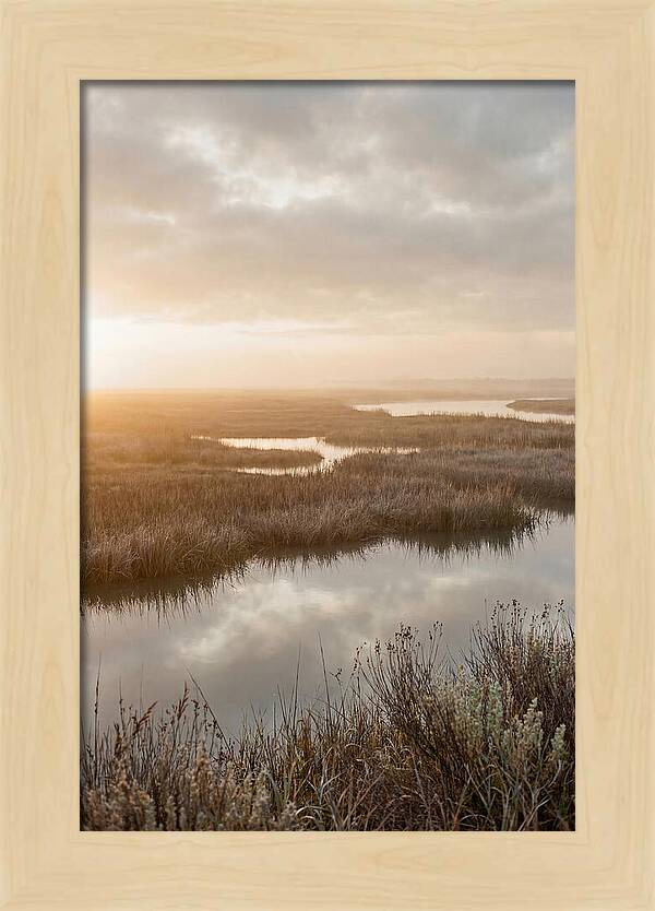 Coastal Marshland Serenity