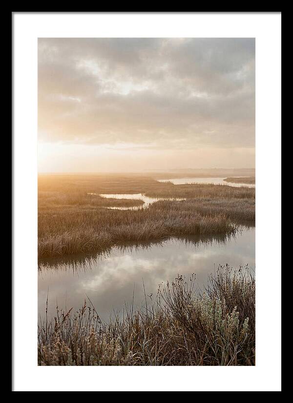 Coastal Marshland Serenity