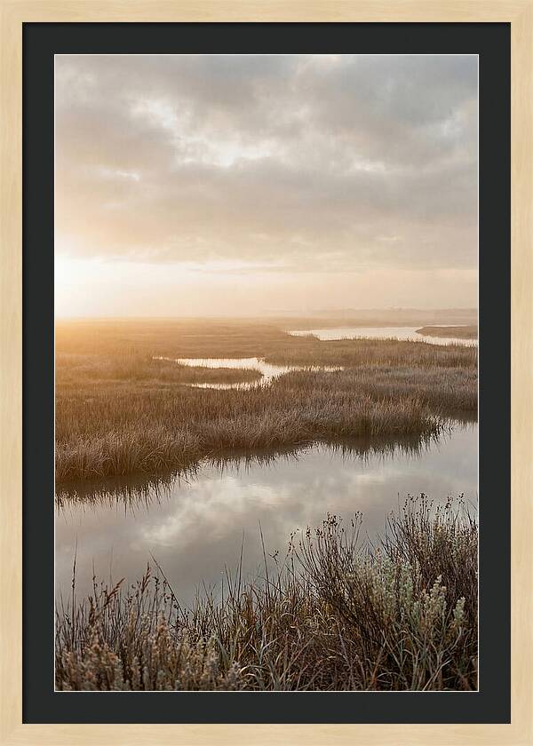 Coastal Marshland Serenity