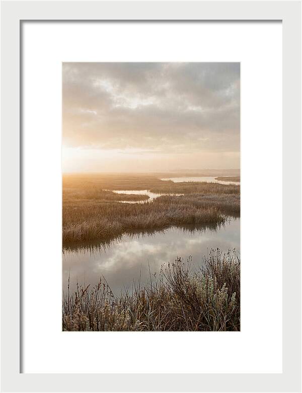 Coastal Marshland Serenity