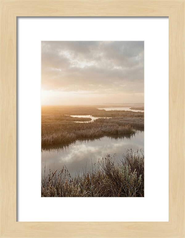 Coastal Marshland Serenity
