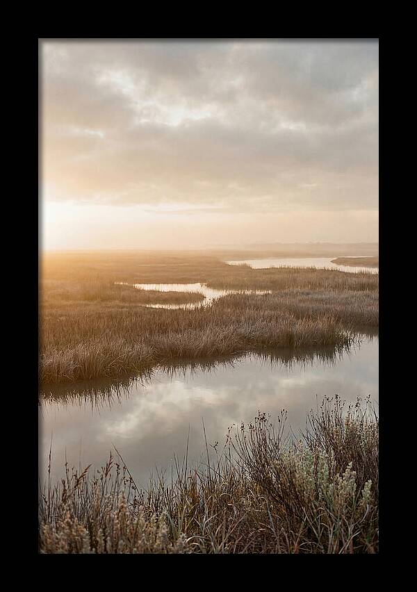 Coastal Marshland Serenity
