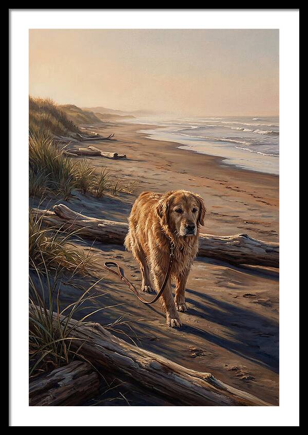 Coastal Morning Dog Walk
