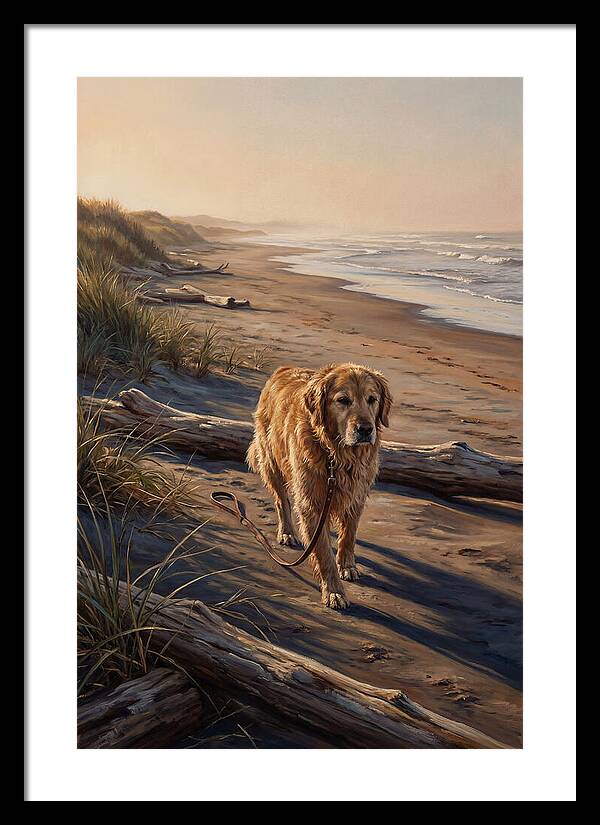 Coastal Morning Dog Walk