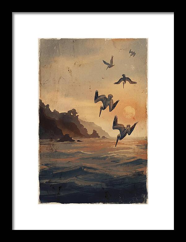 Coastal Pelicans At Sunset