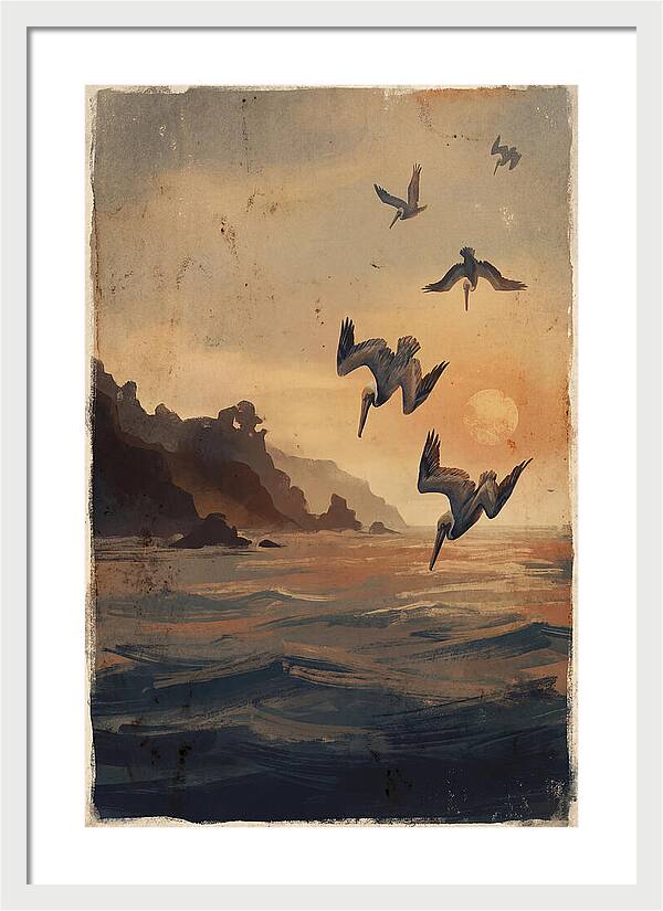 Coastal Pelicans At Sunset