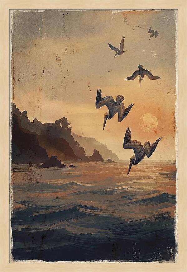 Coastal Pelicans At Sunset