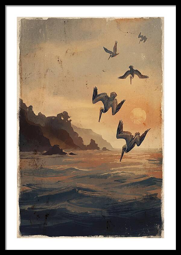 Coastal Pelicans At Sunset