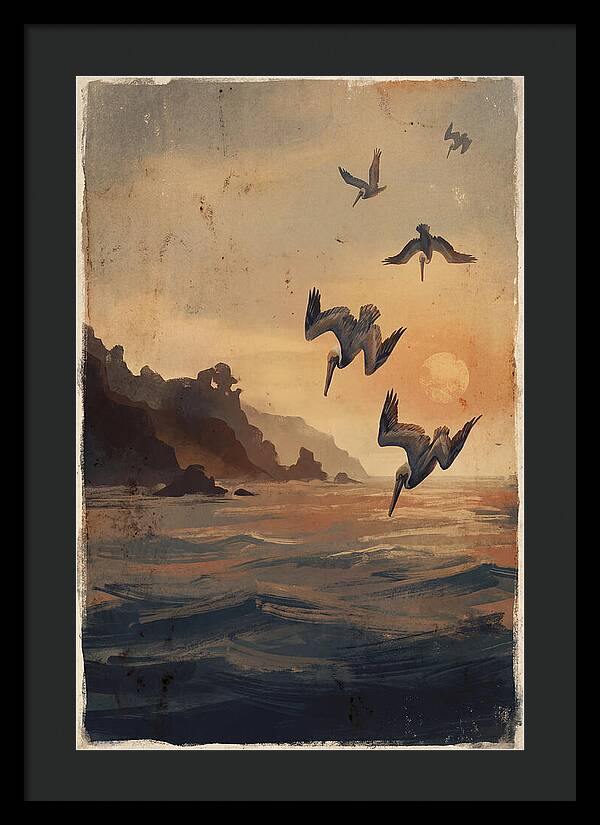 Coastal Pelicans At Sunset