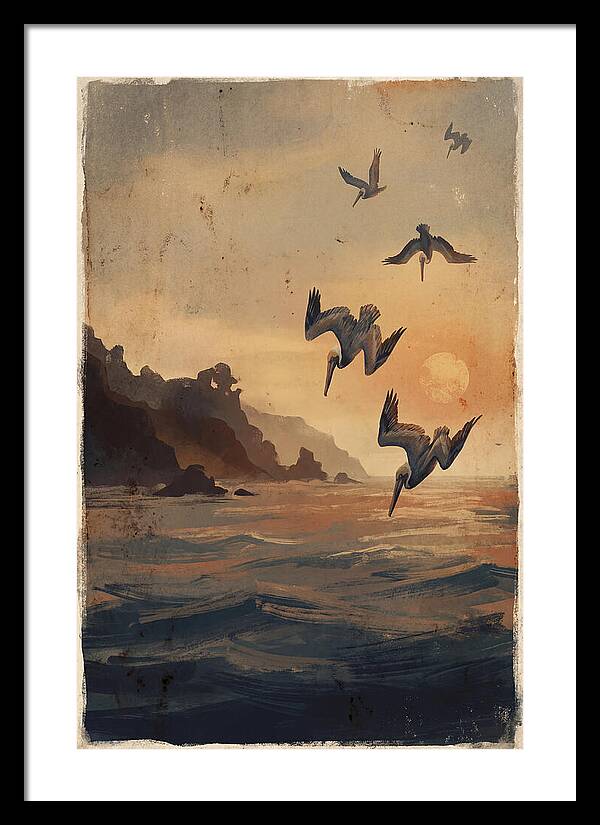 Coastal Pelicans At Sunset