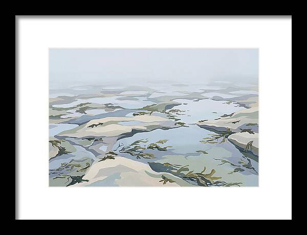 Coastal Rock Pools Revealed By Extreme Low Tide