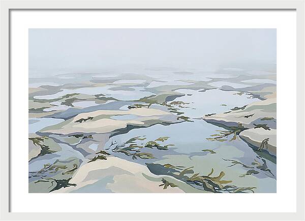 Coastal Rock Pools Revealed By Extreme Low Tide