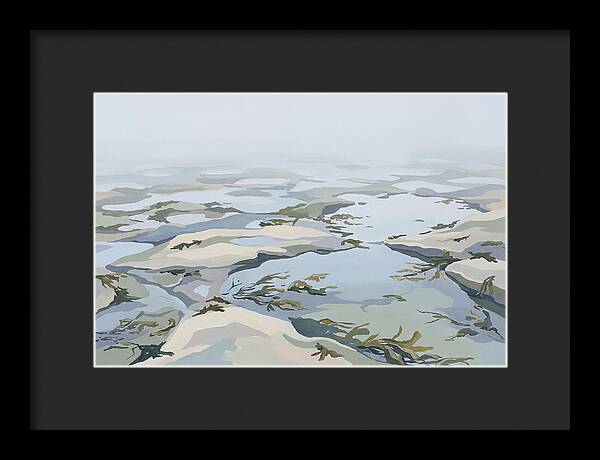 Coastal Rock Pools Revealed By Extreme Low Tide